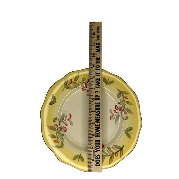 Better Homes Gardens "Tuscan Retreat" Stoneware Individual Luncheon Salad Plates - Picture 5 of 6